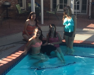 Iceinpoolwneices